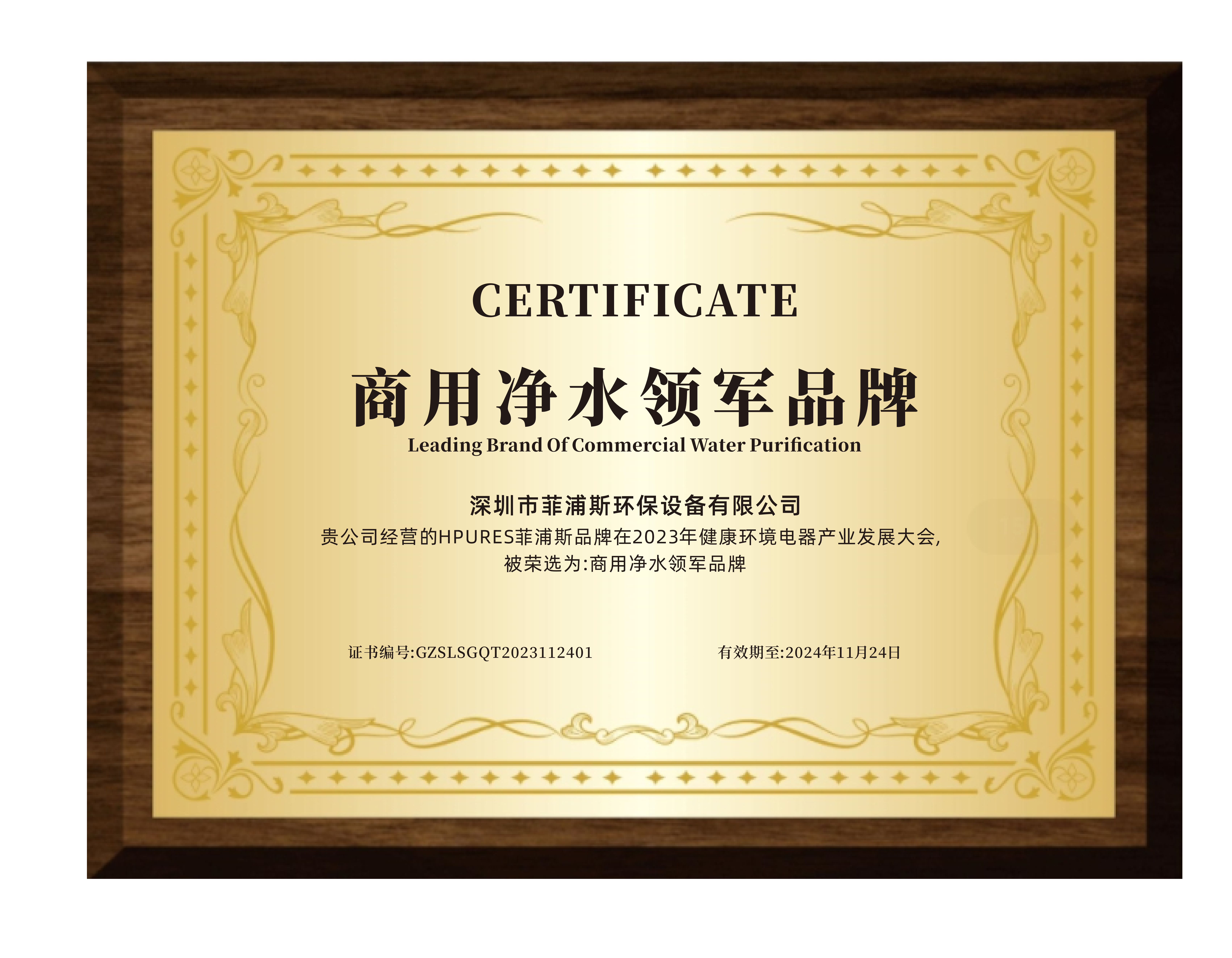 荣誉证书 13